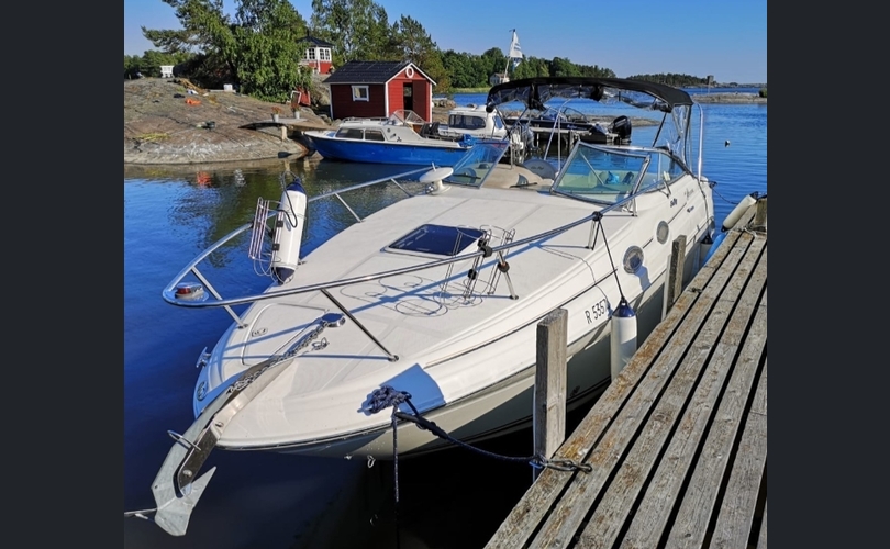 Sea Ray Sundancer 260-kuva-6